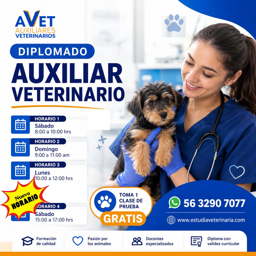 Diplomado Auxiliar Veterinario en 10 meses