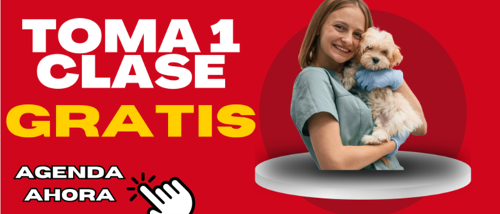 Toma 1 Clase GRATIS – Agenda Ahora